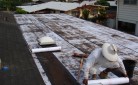 Prepping Tar Gravel Roof